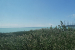 IMG_20210710_115631
